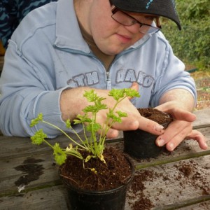 potting_up_boy_with_downs_syndrome_528x480